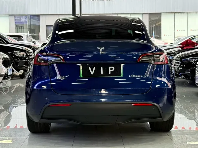Tesla Model Y — Фото автомобиля 12
