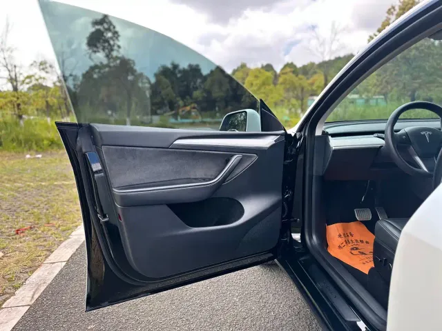 Tesla Model Y — Фото автомобиля 9