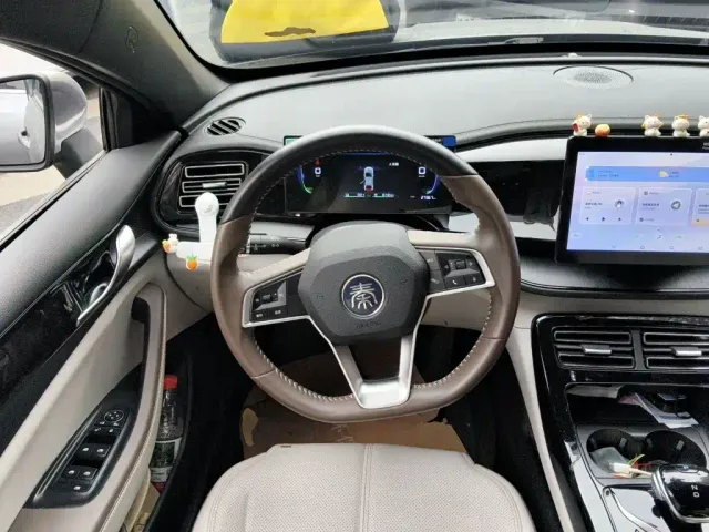 BYD Qin PLUS — Фото автомобиля 11