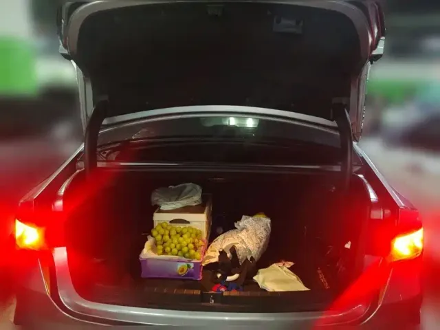 BYD Qin PLUS 2021 DM-i 55KM Flagship — Фото автомобиля 15