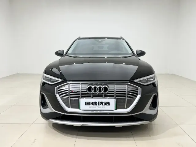 Audi e-tron — Фото автомобиля 2