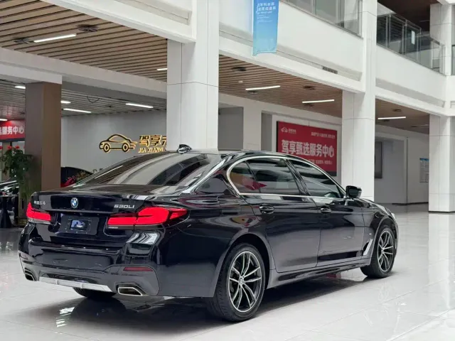 BMW 5 Series — Фото автомобиля 5