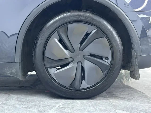 Tesla Model Y — Фото автомобиля 12