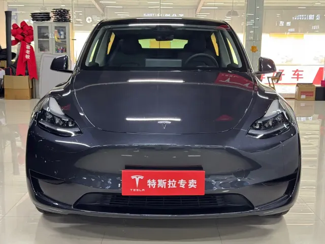 Tesla Model Y — Фото автомобиля 2