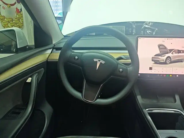 Tesla Model Y — Фото автомобиля 10