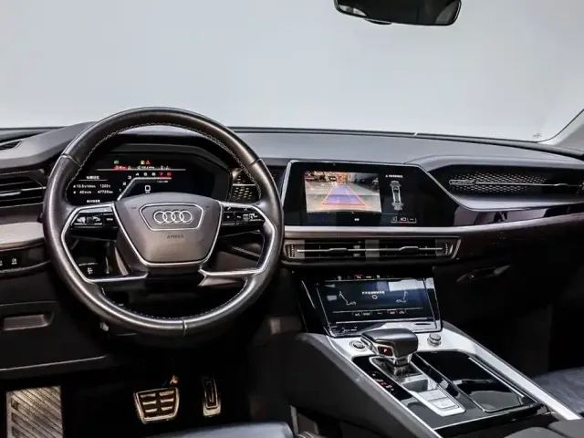 Audi Q6 — Фото автомобиля 22