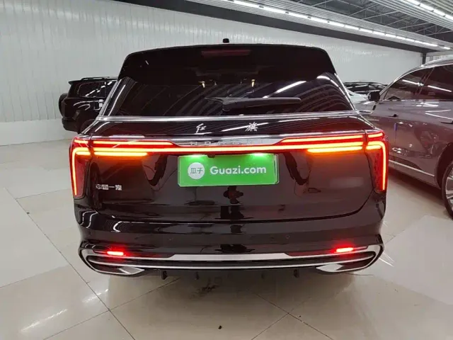 Hongqi E-HS9 — Фото автомобиля 5