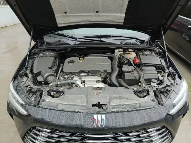 Buick Regal — Фото автомобиля 19