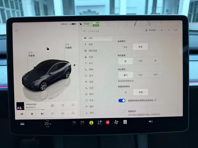 Tesla Model Y — Фото автомобиля 10
