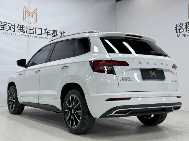 Skoda Karoq — Фото автомобиля 6