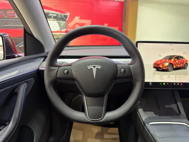 Tesla Model Y — Фото автомобиля 9