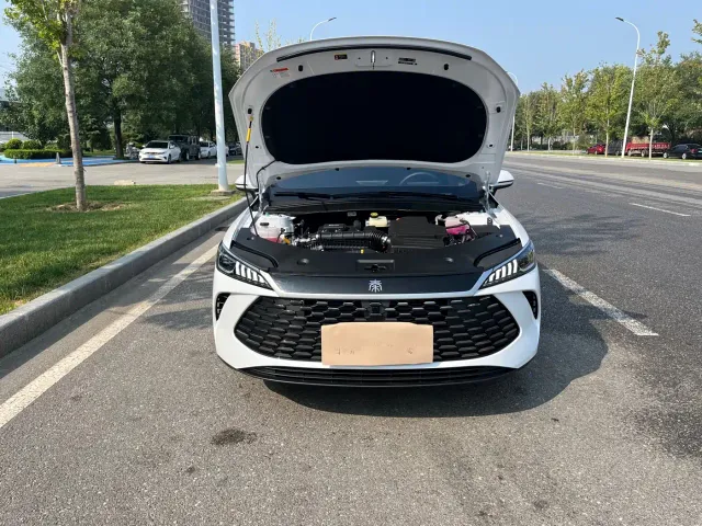 BYD Qin PLUS — Фото автомобиля 17