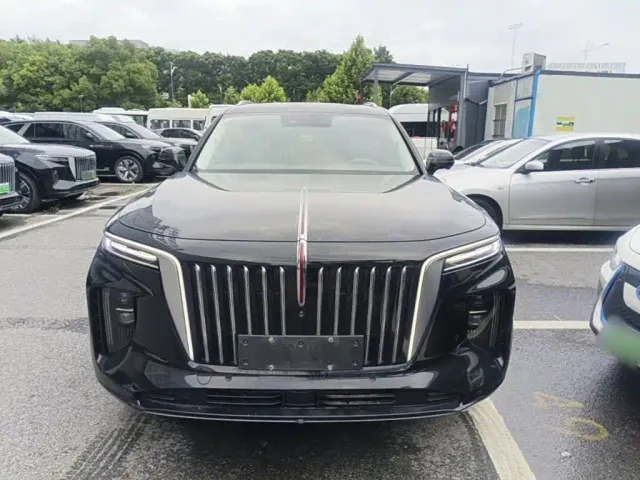 Hongqi E-HS9 — Фото автомобиля 2