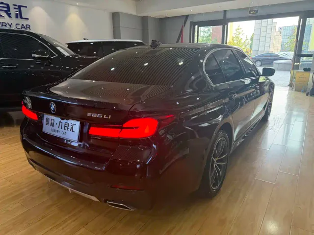BMW 5 Series — Фото автомобиля 11