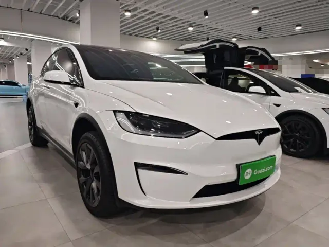 Tesla Model X — Фото автомобиля 3