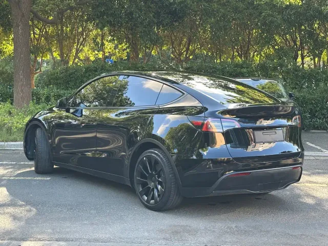 Tesla Model Y — Фото автомобиля 5