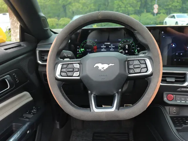 Ford Mustang — Фото автомобиля 18