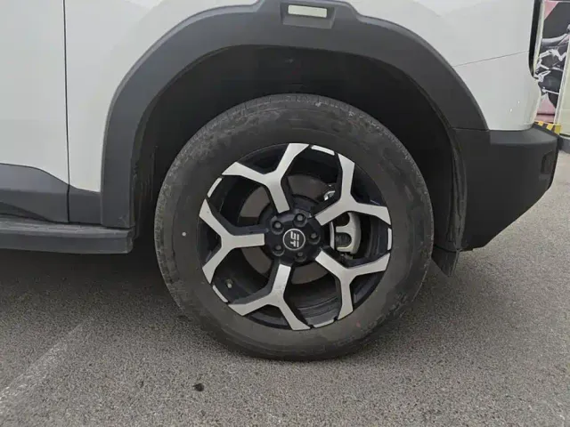 Jetour Shanhai T1 — Фото автомобиля 6