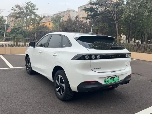Forthing Fengxing Thunder — Фото автомобиля 6