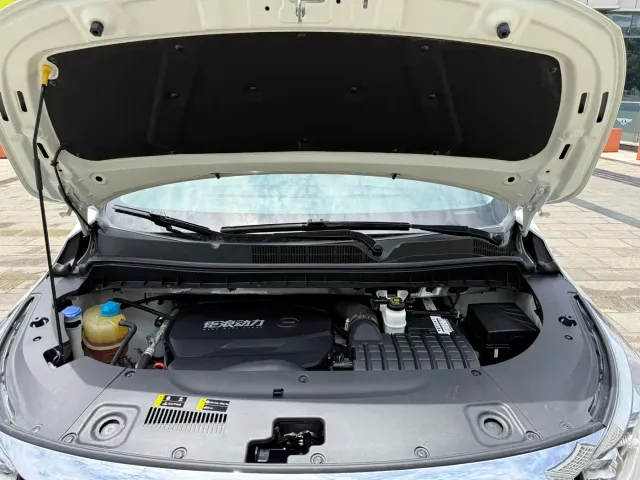 GAC Trumpchi M8 — Фото автомобиля 11