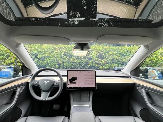 Tesla Model Y — Фото автомобиля 10