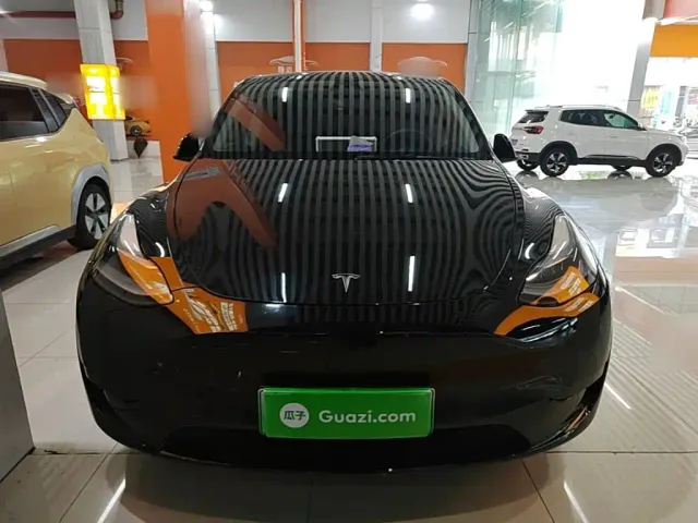 Tesla Model Y — Фото автомобиля 2