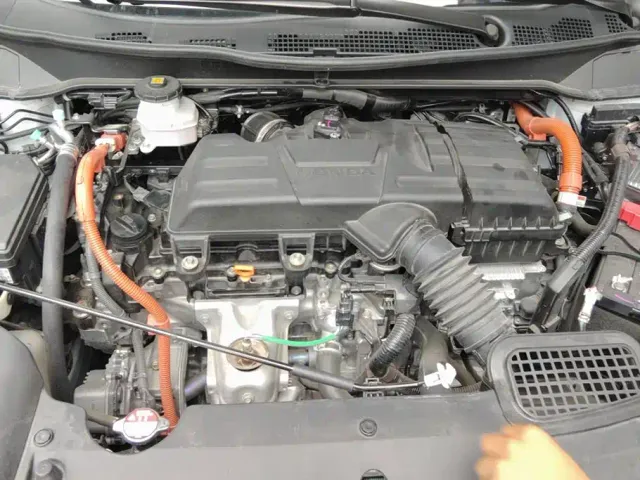 Honda Odyssey — Фото автомобиля 10