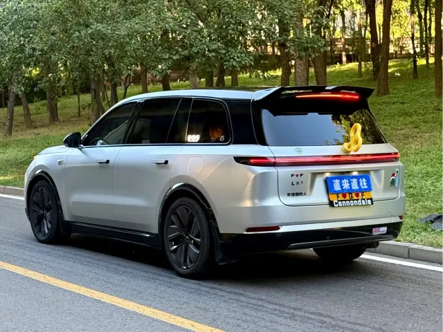 Li Auto L9 — Фото автомобиля 14