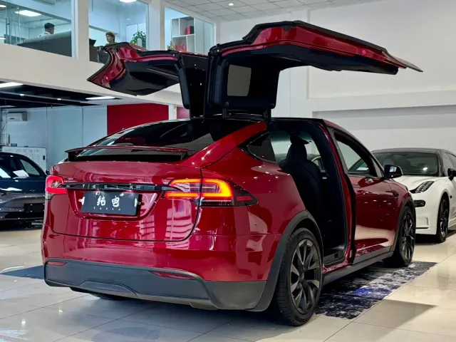 Tesla Model X — Фото автомобиля 18