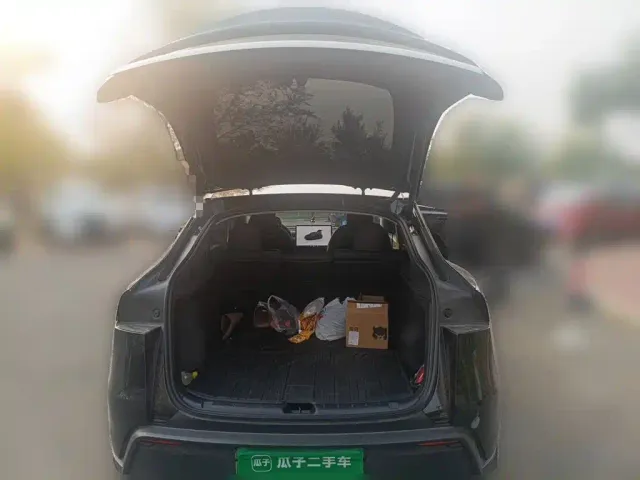 Tesla Model Y — Фото автомобиля 20