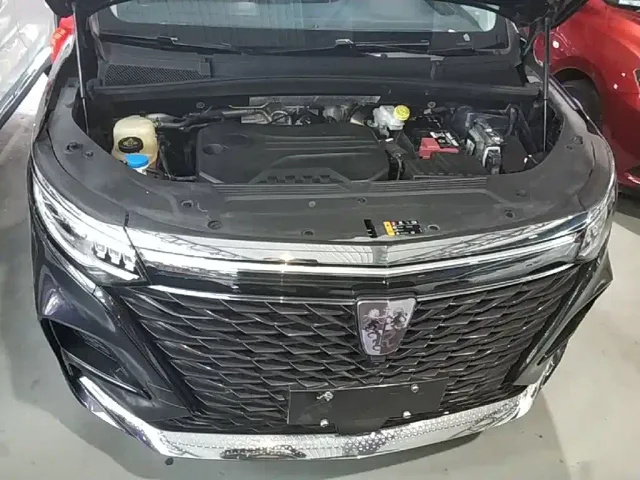 Roewe iMAX8 — Фото автомобиля 19