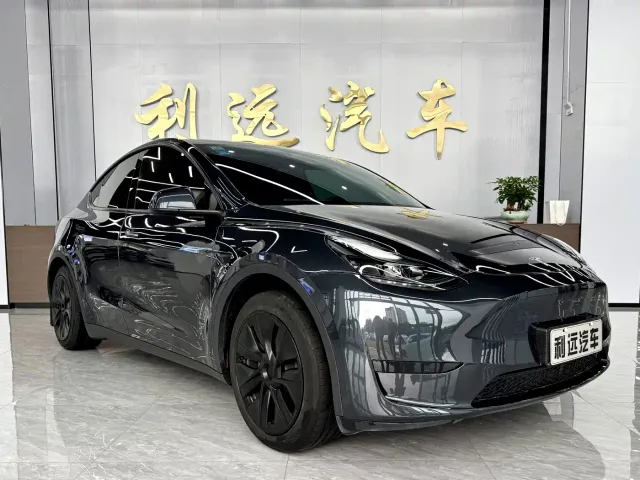 Tesla Model Y — Фото автомобиля 3