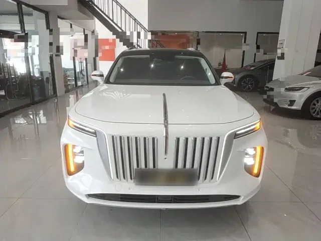 Hongqi E-HS9 — Фото автомобиля 2