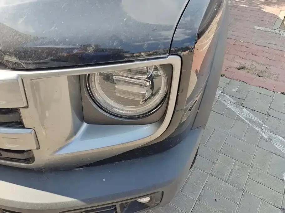 Haval Haval Big Dog 2024 1.5T DCT Border Collie Edition — Фото автомобиля 5