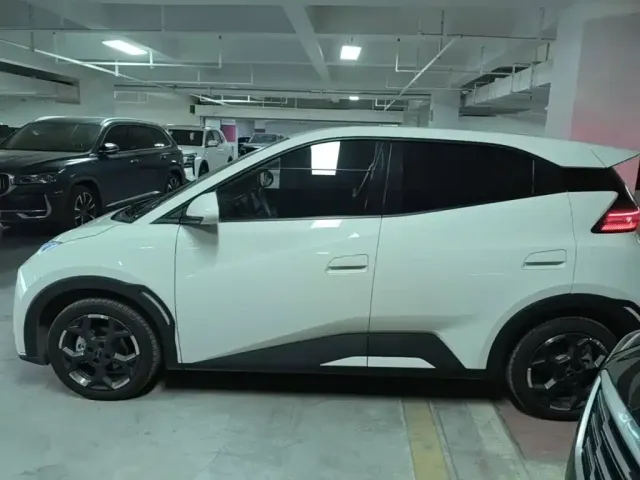 BYD Seagull 2024 Glory Edition 305km Freedom Edition — Фото автомобиля 26