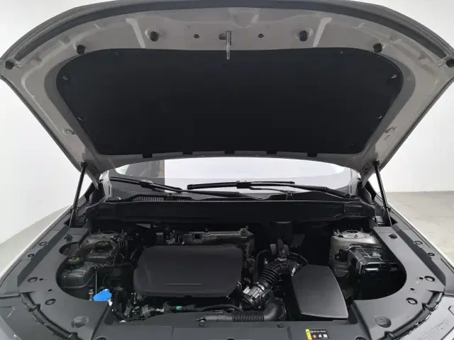 Haval Xiaolong MAX — Фото автомобиля 6