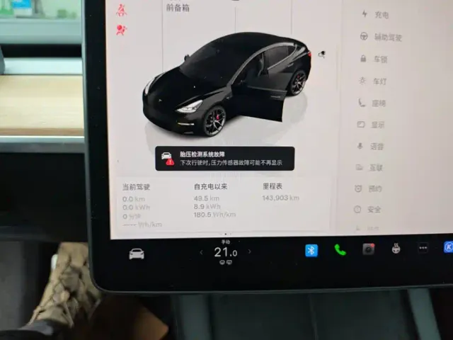 Tesla Model 3 — Фото автомобиля 11