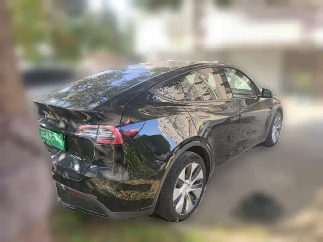 Tesla Model Y — Фото автомобиля 4