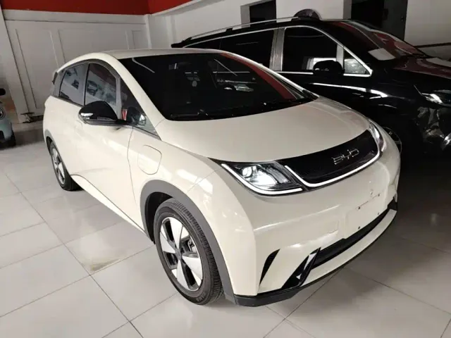 BYD Dolphin — Фото автомобиля 3