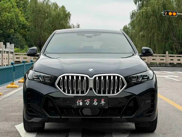 BMW X6 — Фото автомобиля 2