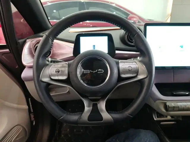 BYD Dolphin — Фото автомобиля 10