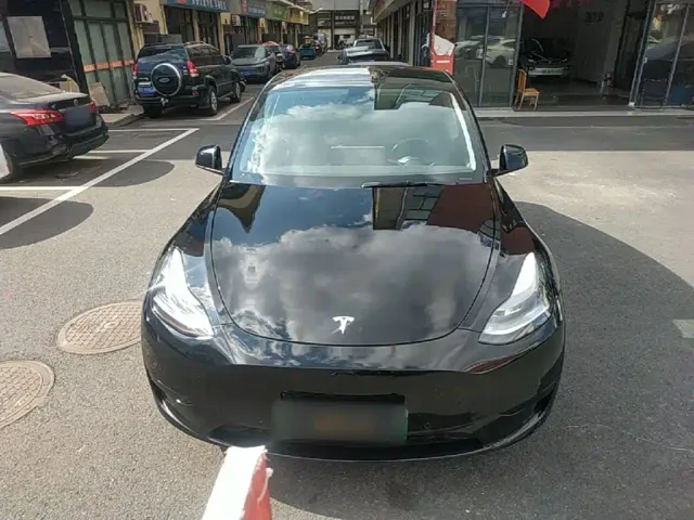 Tesla Model Y — Фото автомобиля 2