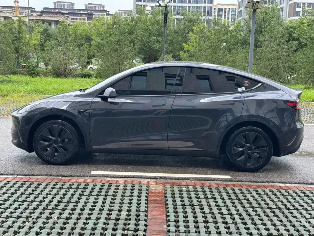 Tesla Model Y — Фото автомобиля 7