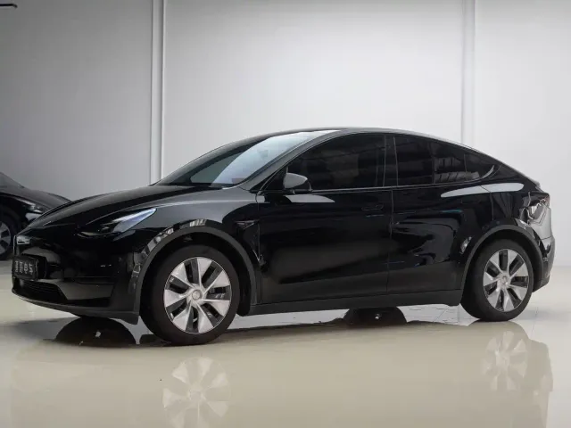 Tesla Model Y — Фото автомобиля 2