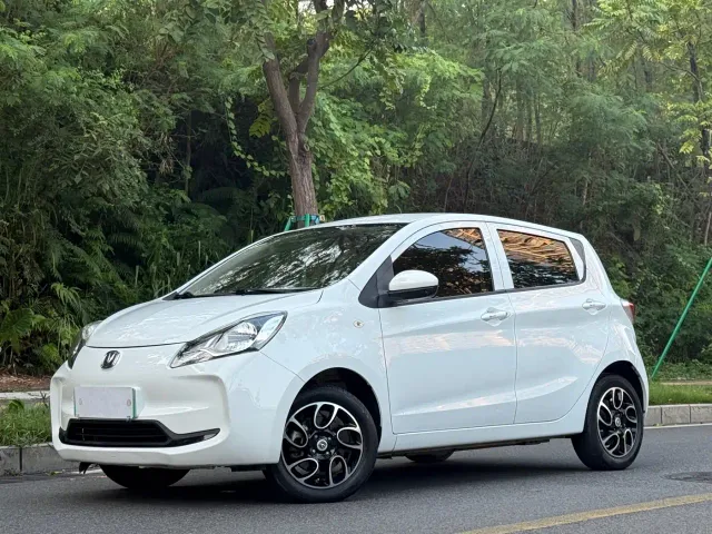 Фотография автомобиля — Changan Benben E-Star