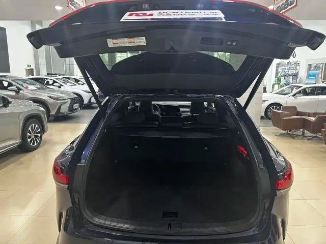 Lexus RX — Фото автомобиля 21