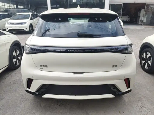 BYD Dolphin — Фото автомобиля 5
