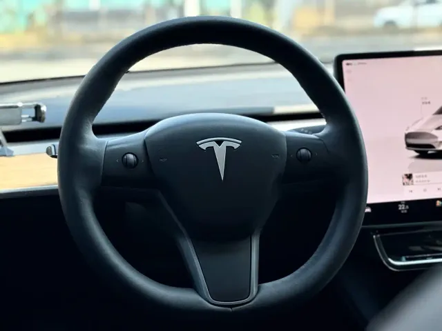 Tesla Model Y — Фото автомобиля 9