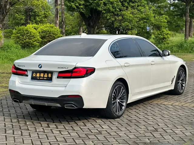 BMW 5 Series — Фото автомобиля 13