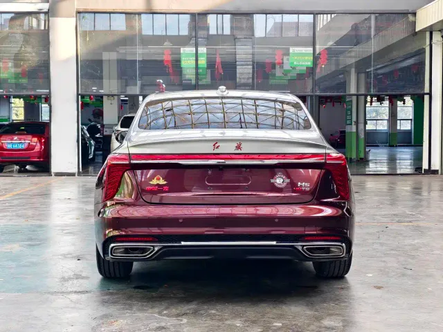 Hongqi H5 — Фото автомобиля 19